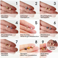 Custom Etched Propagation Stand + 3 Set Tiny Houseplant Earring Studs