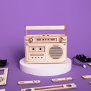 60 Seconds Voice Recorder DIY Kit, Educational STEM Toy