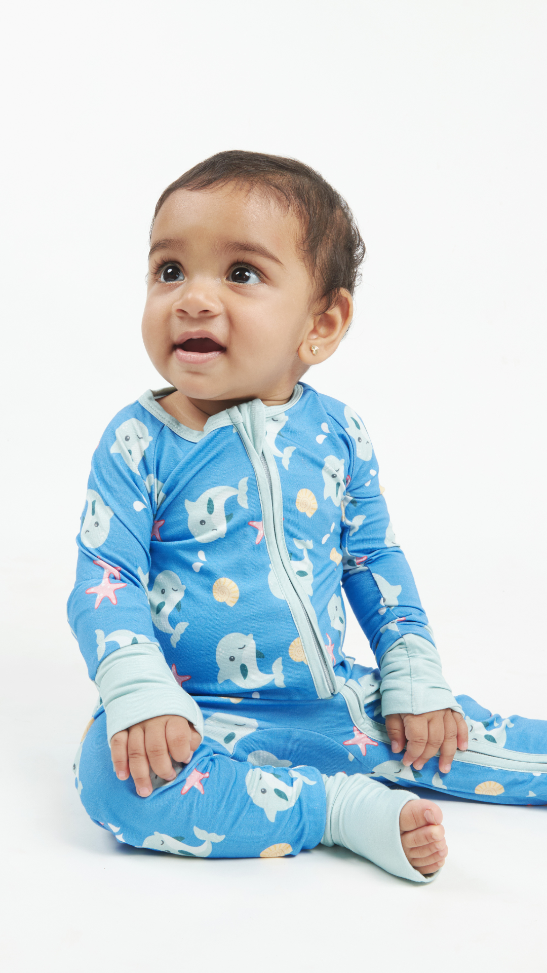 Delphi Dolphins Convertible Zippy