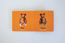 "My First Hindi Words!" Board Book Gift Set