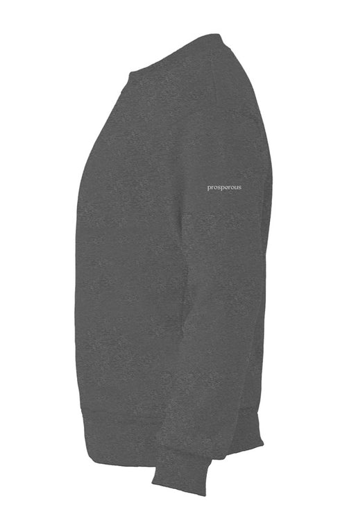 Lunar New Year- the Horse- Youth Fleece Sweatshirt