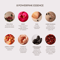 Pink Lotus Peptide Renewal Face Cream - Cultr. by Created for Culture asianowned aapimarketplace asianownedkids asianownedkidsproducts asianownedbrands