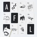 Jungle Alphabet Cards - Cultr. by Created for Culture asianowned aapimarketplace asianownedkids asianownedkidsproducts asianownedbrands