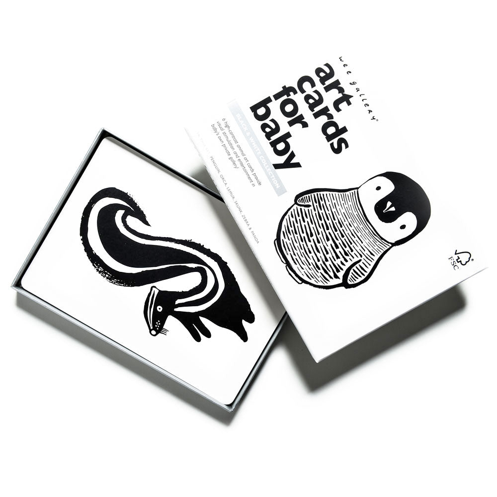 Art Cards for Baby - Black and White Collection - Cultr. by Created for Culture asianowned aapimarketplace asianownedkids asianownedkidsproducts asianownedbrands