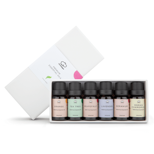6 Piece Premium Essential Oil Set - Cultr. by Created for Culture asianowned aapimarketplace asianownedkids asianownedkidsproducts asianownedbrands