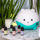 6 Piece Premium Essential Oil Set - Cultr. by Created for Culture asianowned aapimarketplace asianownedkids asianownedkidsproducts asianownedbrands