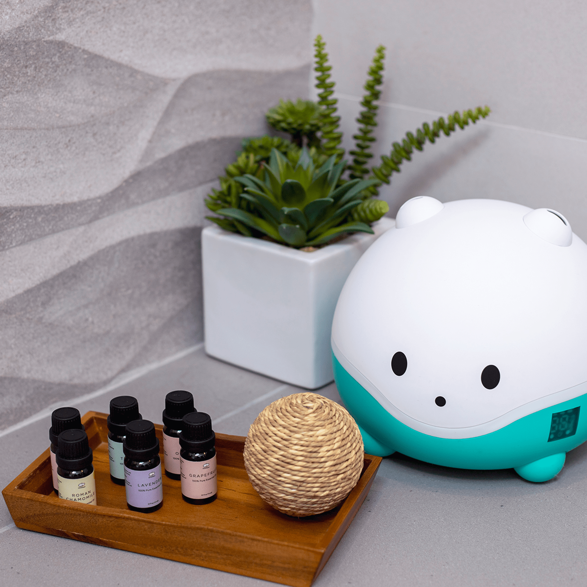6 Piece Premium Essential Oil Set - Cultr. by Created for Culture asianowned aapimarketplace asianownedkids asianownedkidsproducts asianownedbrands