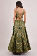 Beryl Green Banarasi Lehenga Choli Set