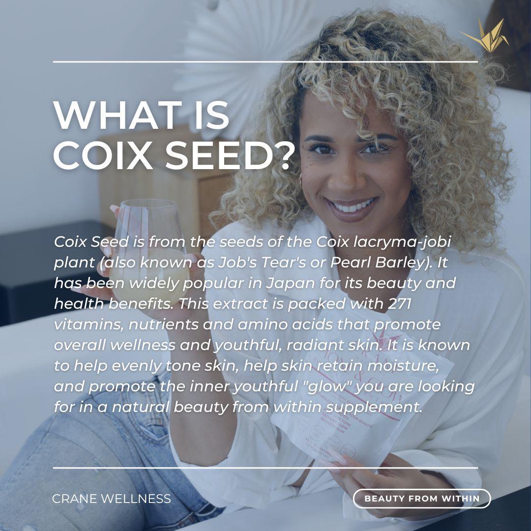 Tone and Glow Coix Seed Extract Powder - Cultr. by Created for Culture asianowned aapimarketplace asianownedkids asianownedkidsproducts asianownedbrands