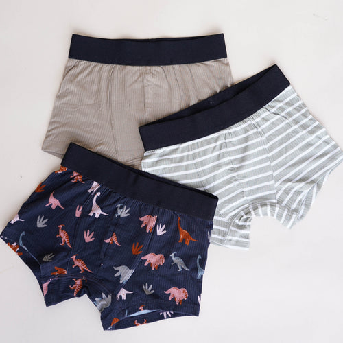 Boxer Brief 3-Pack