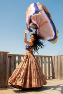 Duna Brownish Gold Tiered Lehenga Choli Set