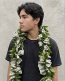 Thick Ti Leaf Money Lei (Open)