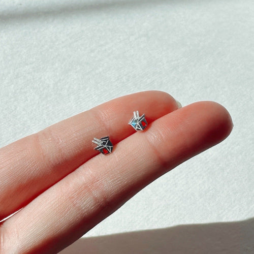 Takeout Box Earring Studs