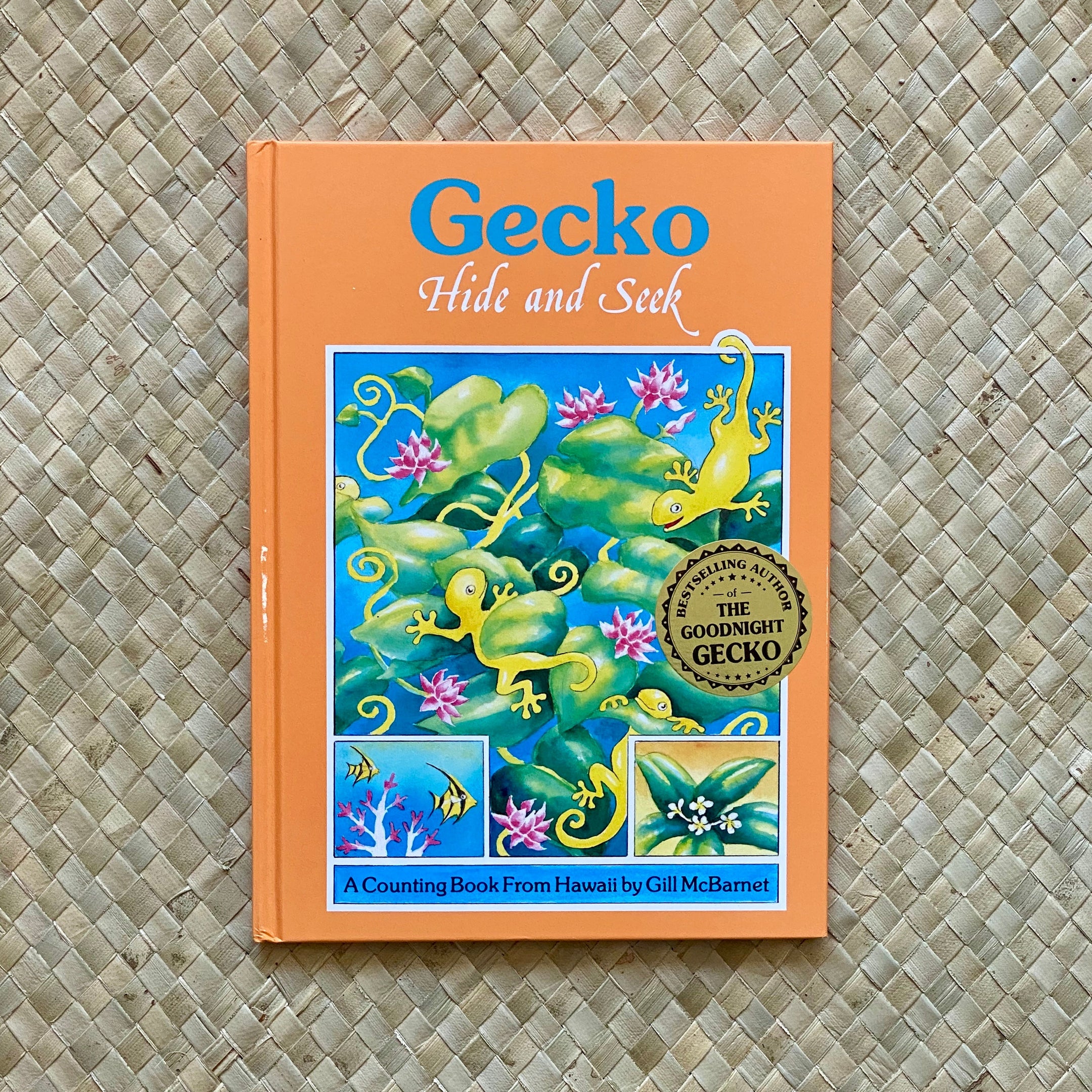 Gecko Hide and Seek