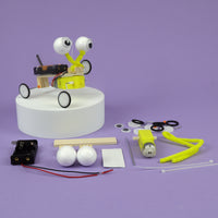 Bug Robot DIY Kit, Educational STEM Toy