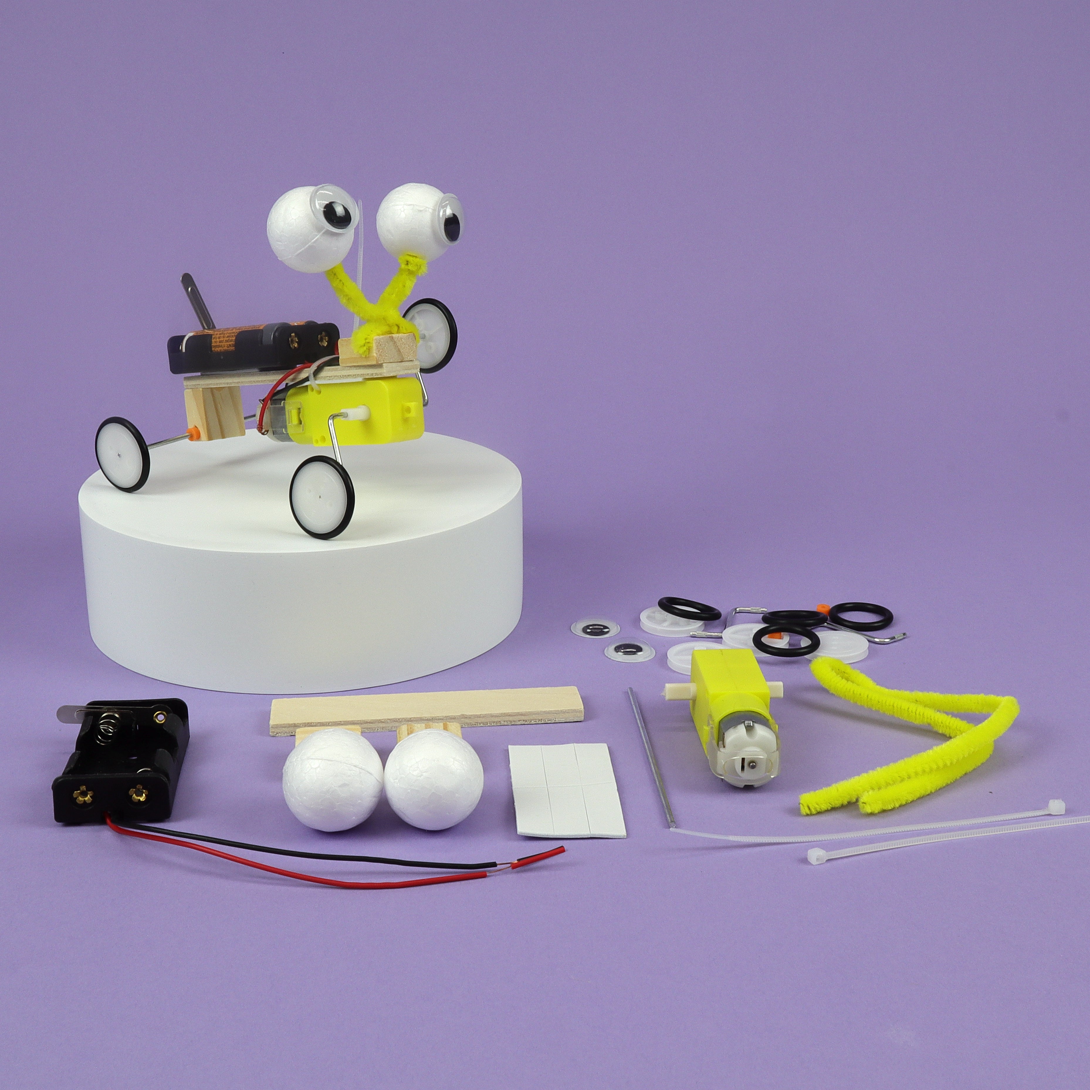 Bug Robot DIY Kit, Educational STEM Toy