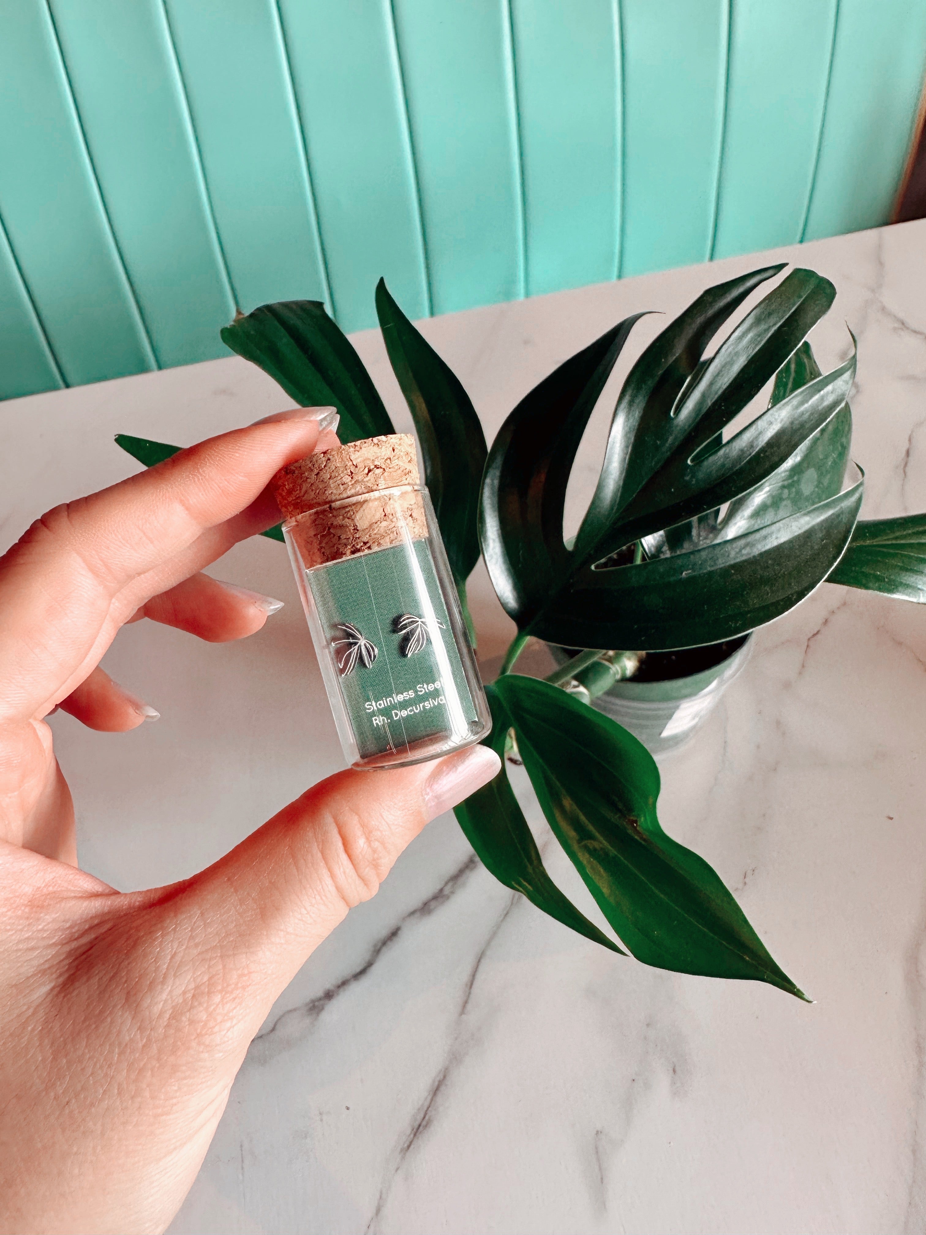 Rhaphidophora Decursiva Metal Stud Earrings