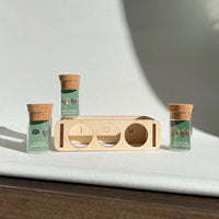 Custom Etched Propagation Stand + 3 Set Tiny Houseplant Earring Studs