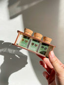 Custom Etched Propagation Stand + 3 Set Tiny Houseplant Earring Studs