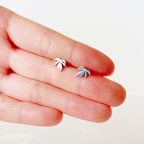 Rhaphidophora Decursiva Metal Stud Earrings