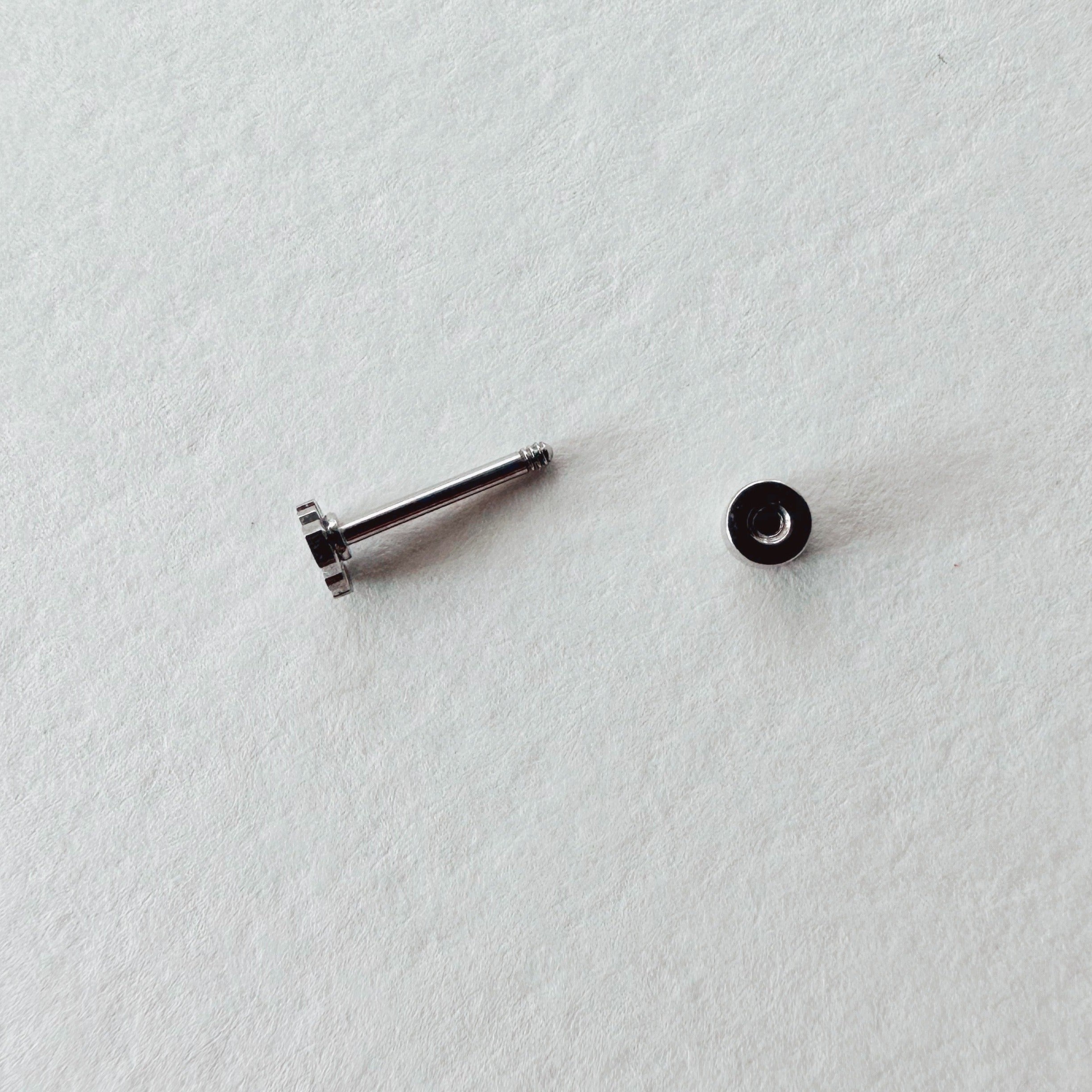 Flat Back- Teeniest Tiniest Monstera Deliciosa Earring Studs