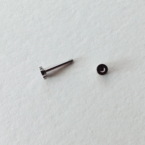 Flat Back- Teeniest Tiniest Monstera Deliciosa Earring Studs