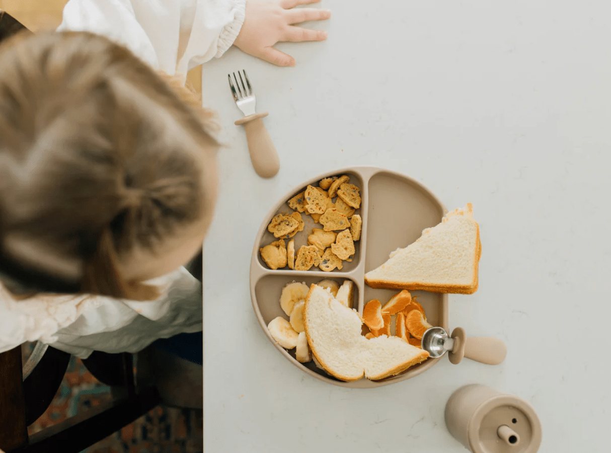 Divided Suction Plate - Cultr. by Created for Culture asianowned aapimarketplace asianownedkids asianownedkidsproducts asianownedbrands