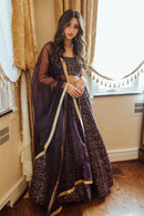 Jaden Wine Sequins Lehenga Choli Set