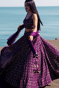 Jaden Wine Sequins Lehenga Choli Set