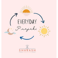 Everyday Punjabi - Hardcover