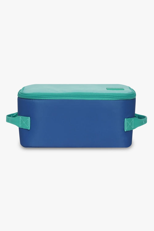Insulated Cooler Bag / Cool Breeze