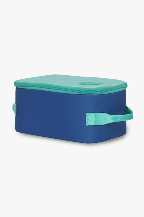 Insulated Cooler Bag / Cool Breeze