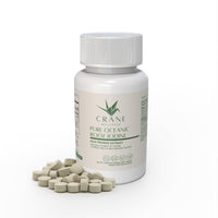 Wellness Bundle - Cultr. by Created for Culture asianowned aapimarketplace asianownedkids asianownedkidsproducts asianownedbrands