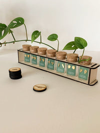 Custom Etched Propagation Stand + 3 Set Tiny Houseplant Earring Studs