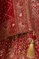 Red Banarasi Silk Lehenga Choli Set with Hand Embroidery
