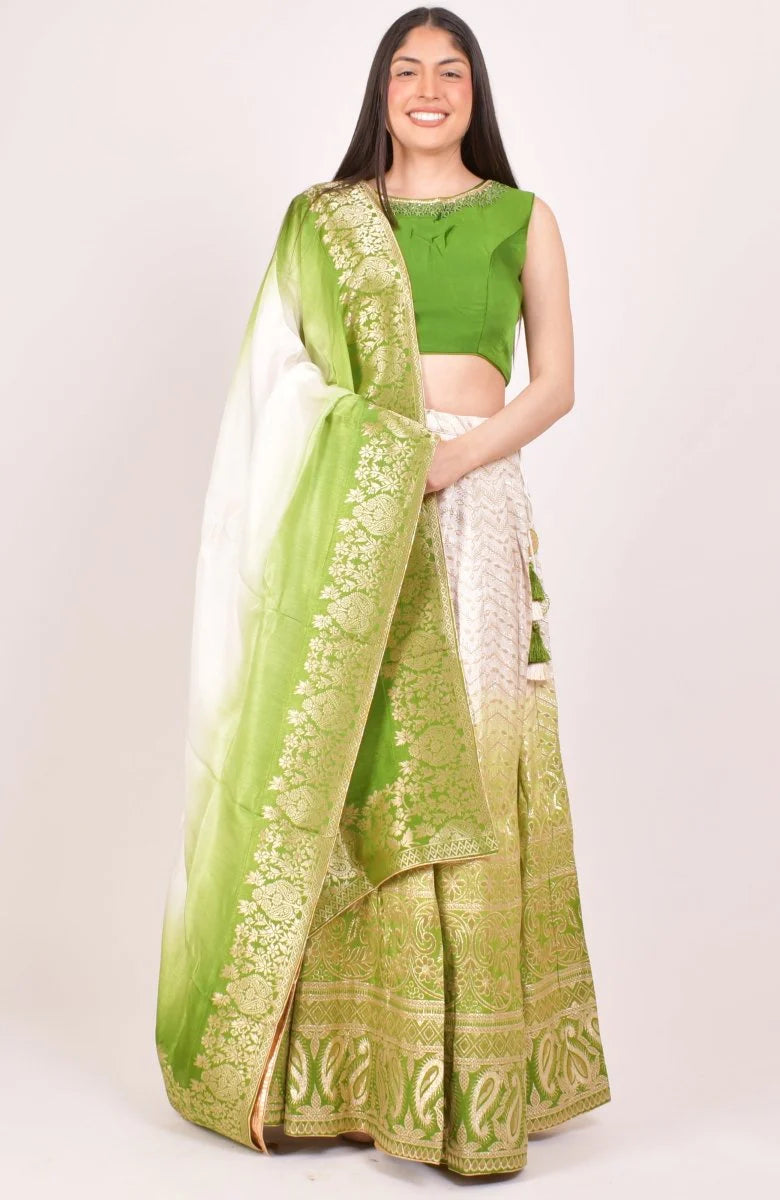 Green Banarasi Silk Shaded Lehenga Choli