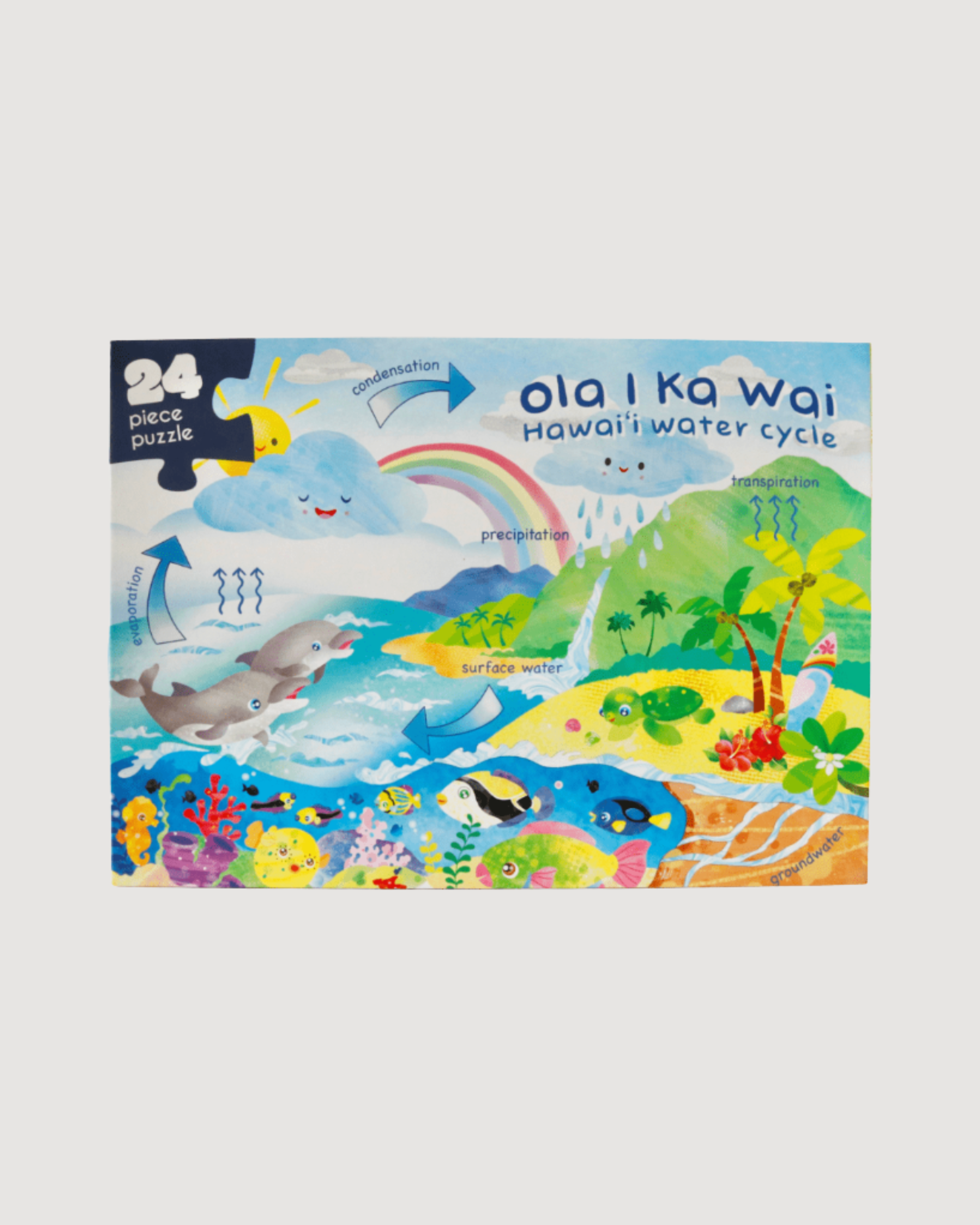 Hawai'i Water Cycle Puzzle