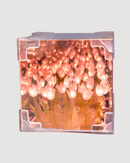 Tulip Mirror LED Night Light - Pink