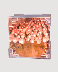 Tulip Mirror LED Night Light - Pink