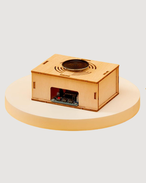 Voice Recorder DIY Kit, Educational STEM Toy