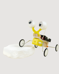 Bug Robot DIY Kit, Educational STEM Toy