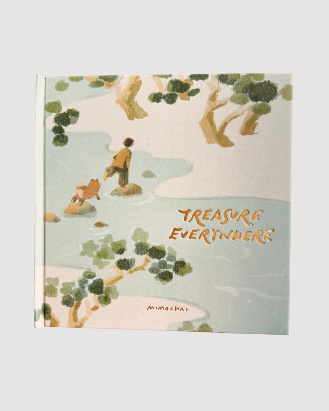 Treasure Everywhere Book