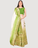 Green Banarasi Silk Shaded Lehenga Choli
