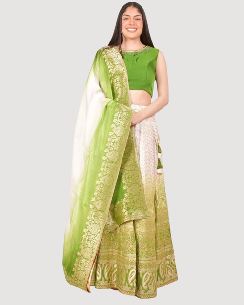 Green Banarasi Silk Shaded Lehenga Choli