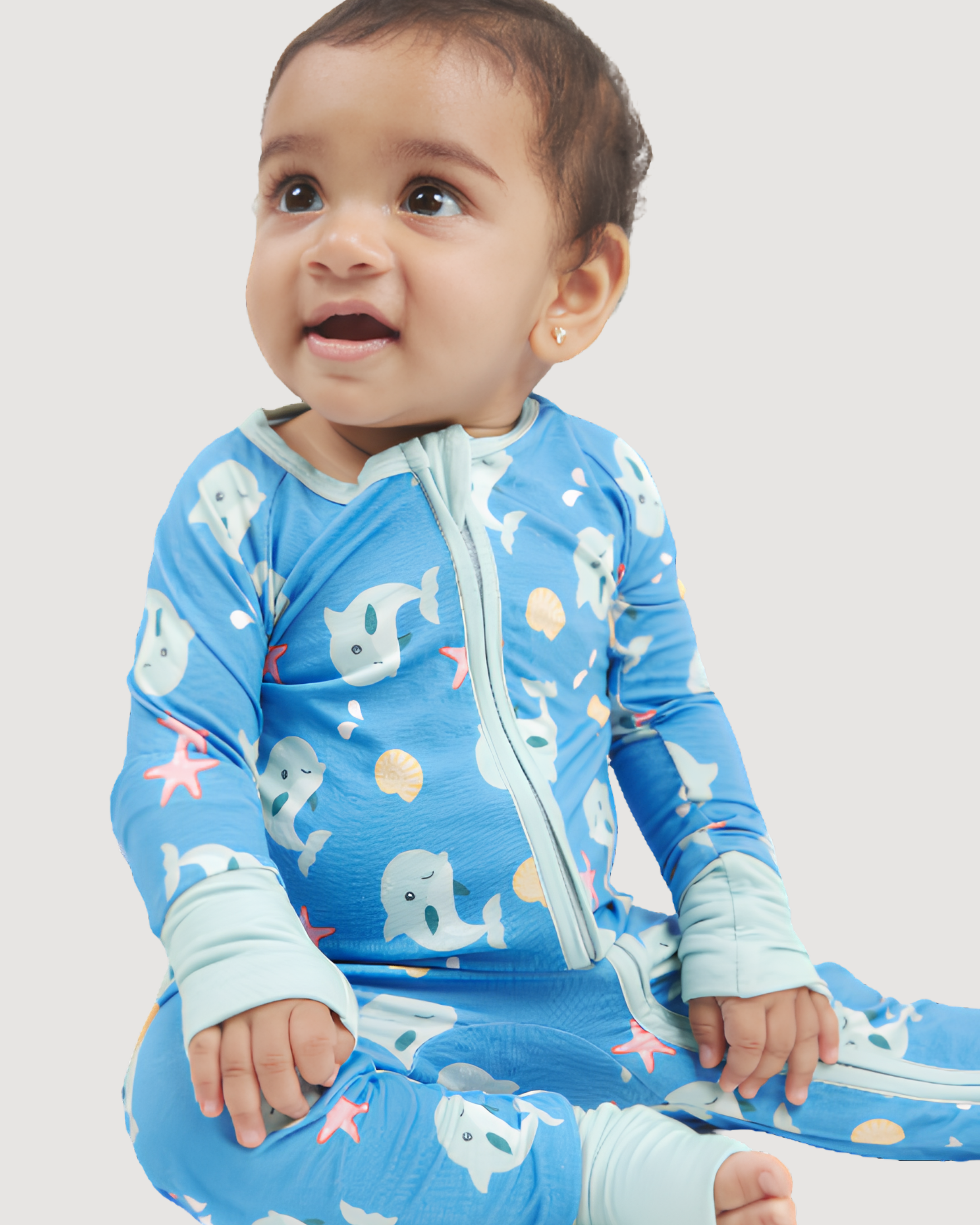 Delphi Dolphins Convertible Zippy
