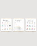 Bilingual Posters: Colors, Shapes, Numbers • Gujarati | Hindi