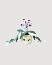 Hoya Carnosa Krimson Queen Plushie