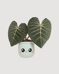 Philodendron Gloriosum Plushie