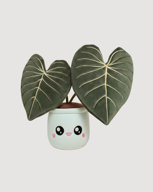 Philodendron Gloriosum Plushie - CULTR