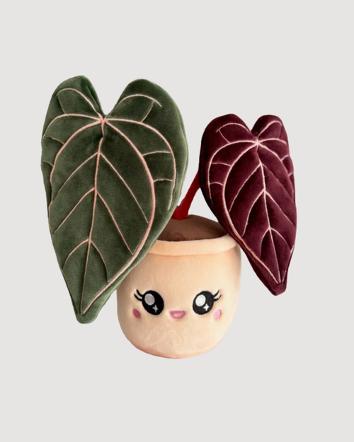 Anthurium Red Crystallinum Plushie - CULTR